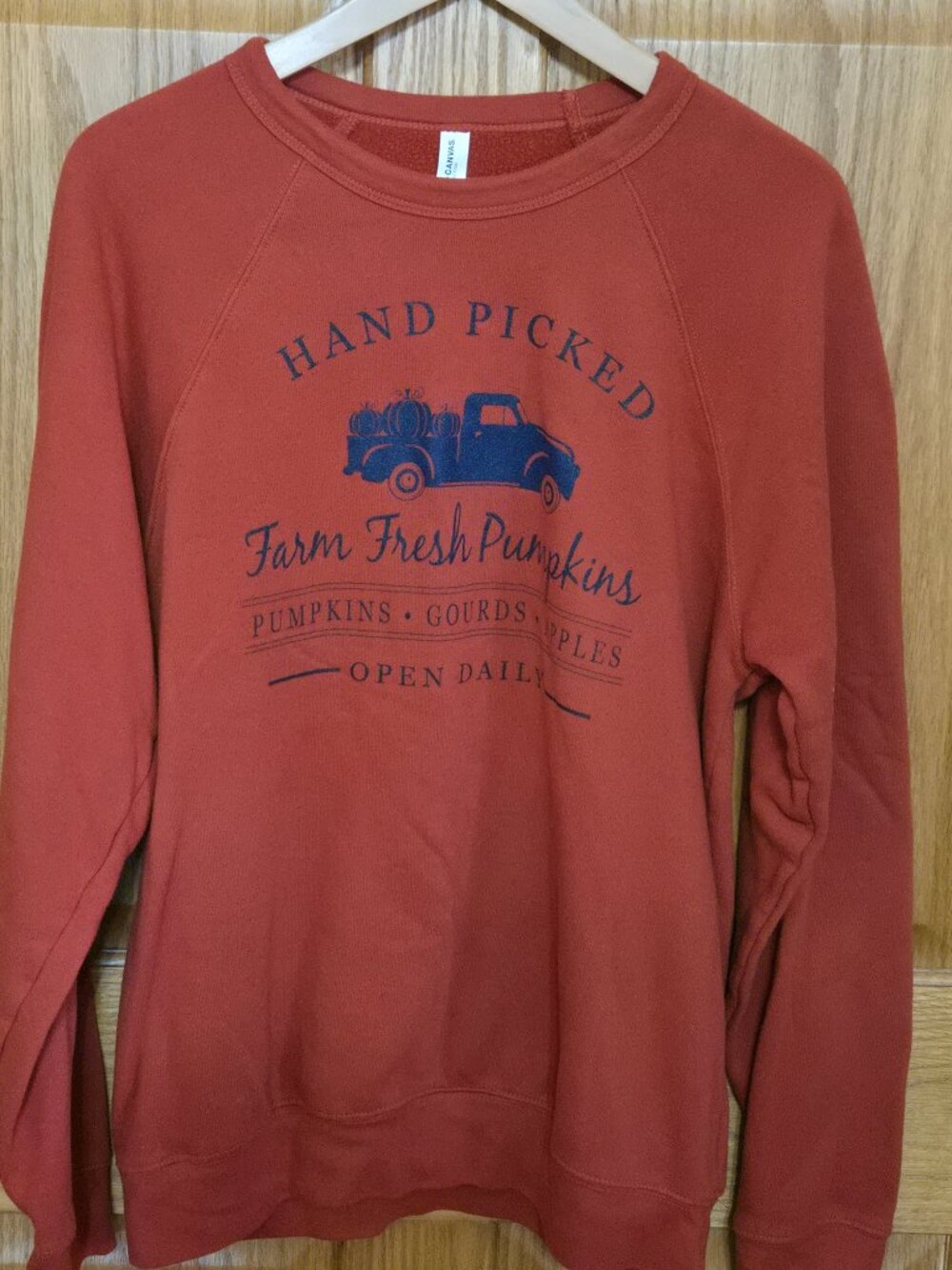 fall women's sweatshirt orange pumpkin size XL